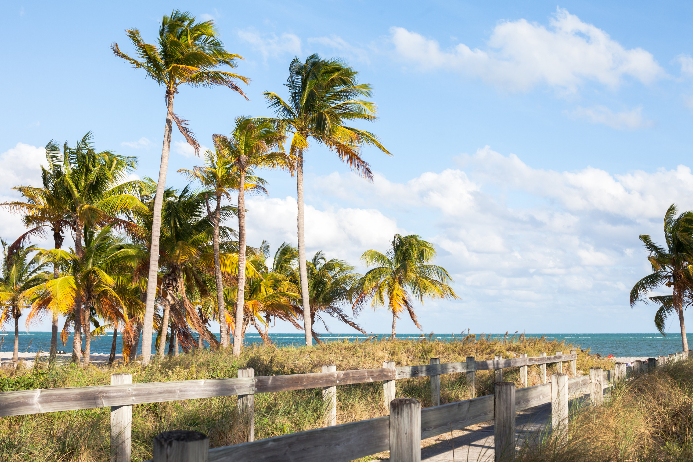 key biscayne, florida (4).webp